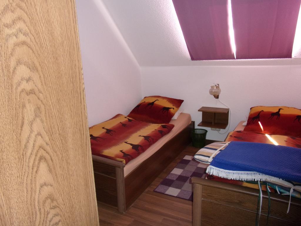 Ferienwohnung Hartmann Frankenau Extérieur photo