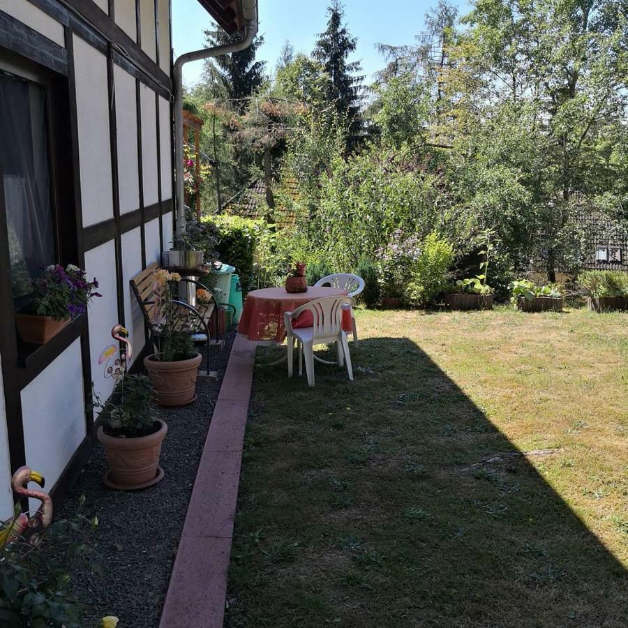 Ferienwohnung Hartmann Frankenau Extérieur photo